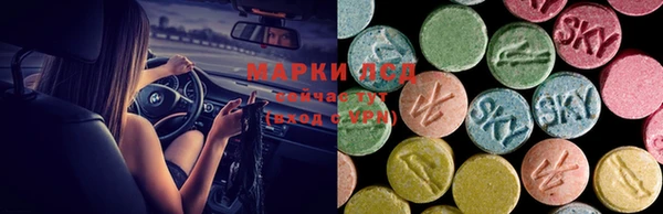 ПСИЛОЦИБИНОВЫЕ ГРИБЫ Алексин