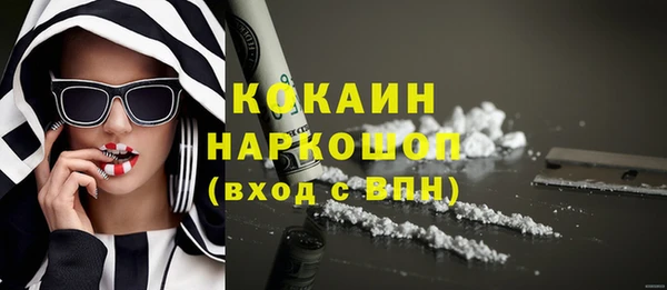 PSILOCYBIN Алзамай