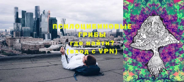 ПСИЛОЦИБИНОВЫЕ ГРИБЫ Алексин