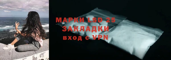 ПСИЛОЦИБИНОВЫЕ ГРИБЫ Алексин