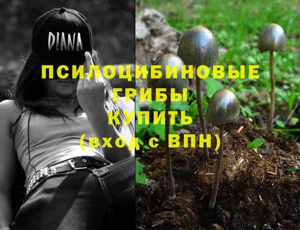 ПСИЛОЦИБИНОВЫЕ ГРИБЫ Алексин