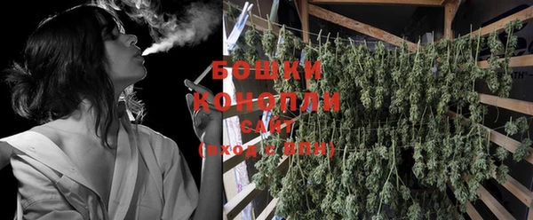 PSILOCYBIN Алзамай