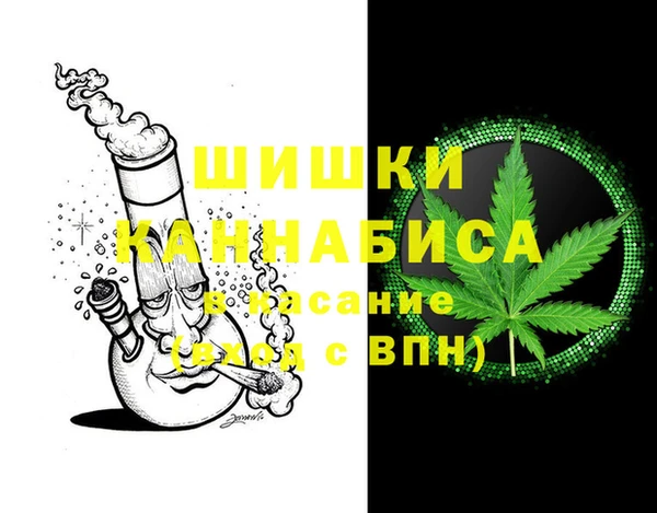 PSILOCYBIN Алзамай