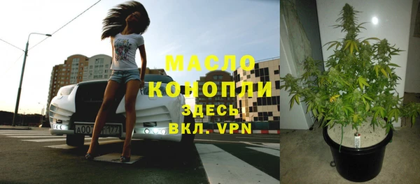 PSILOCYBIN Алзамай